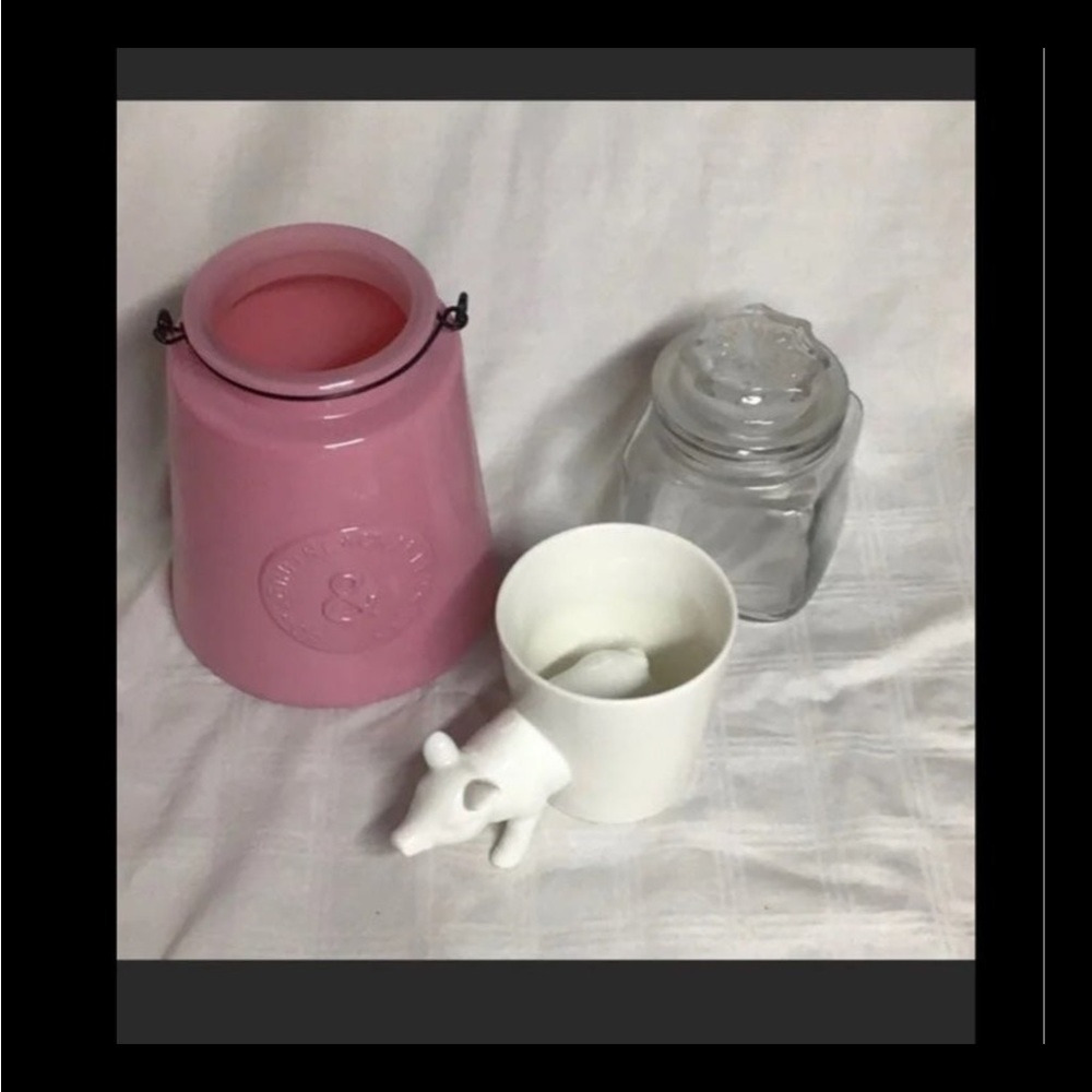 Small Pig planter bundle